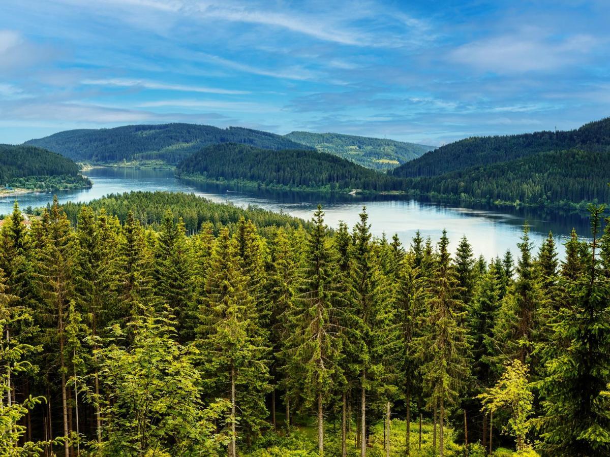 Black Forest Luxury Apartment Waldglueck Mit Sauna Кеніґсфельд-ім-Шварцвальд Екстер'єр фото