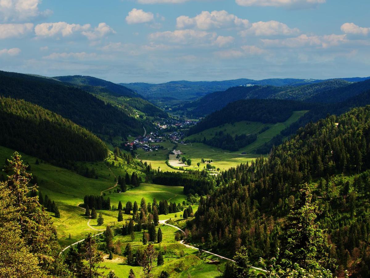 Black Forest Luxury Apartment Waldglueck Mit Sauna Кеніґсфельд-ім-Шварцвальд Екстер'єр фото