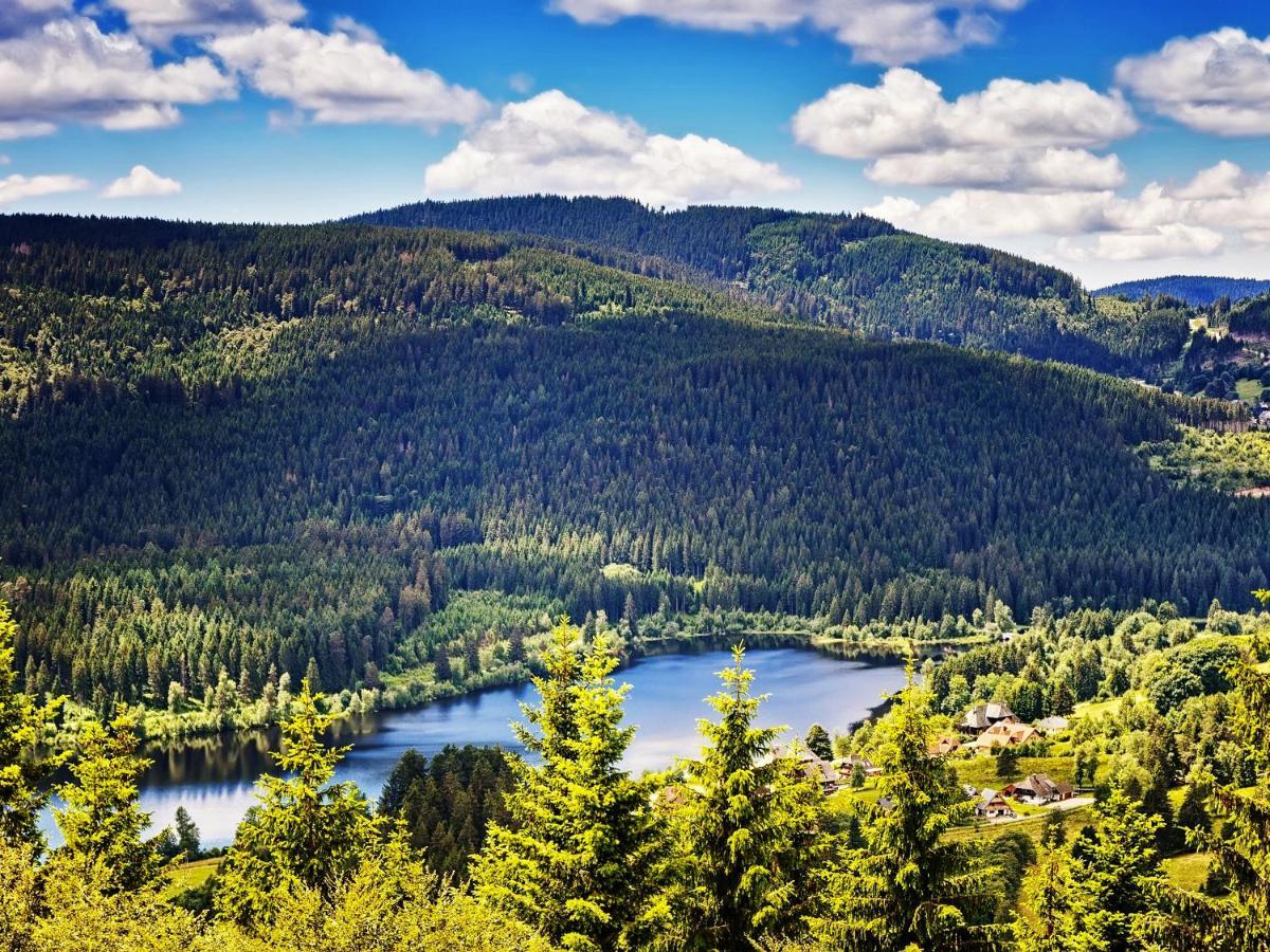 Black Forest Luxury Apartment Waldglueck Mit Sauna Кеніґсфельд-ім-Шварцвальд Екстер'єр фото